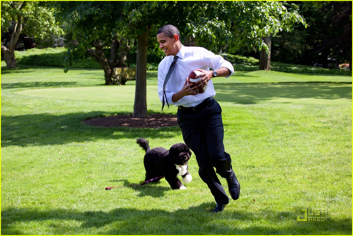 bo-obama-family-dog-011