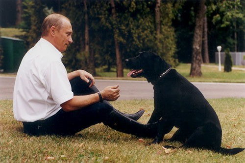 putin_labrador_koni