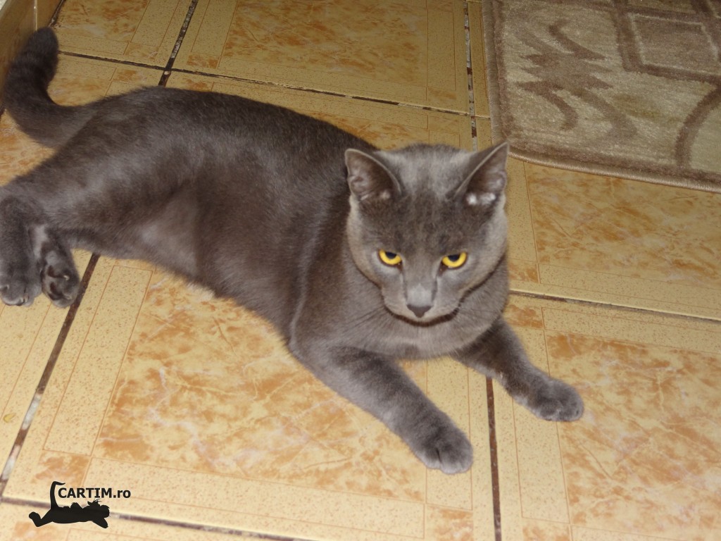 Thomas