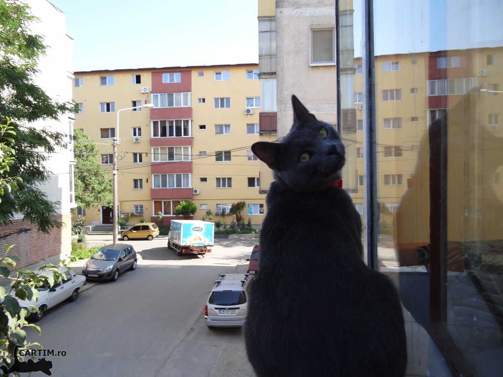 Thomas privind afara