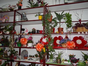 Secret Garden flori