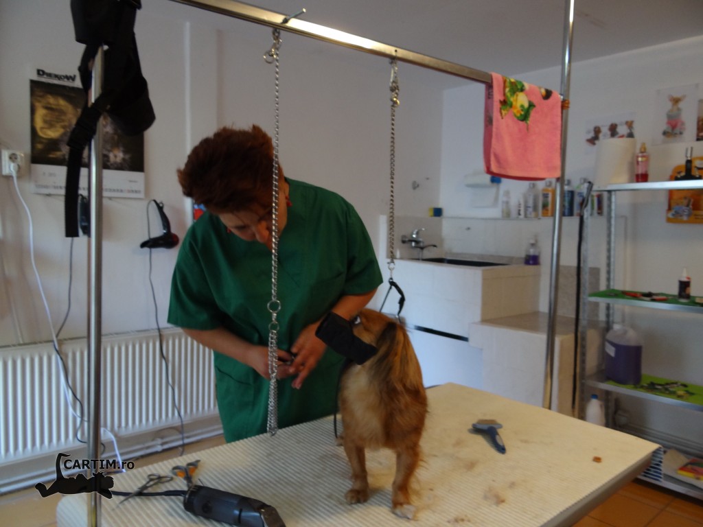 Cosmetica canina