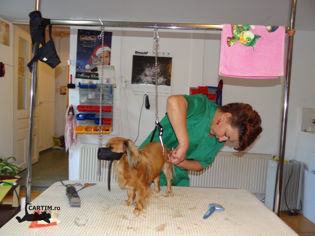 Cosmetica canina
