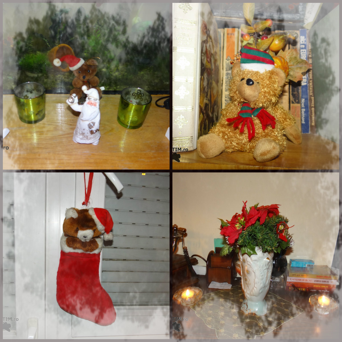 collage5