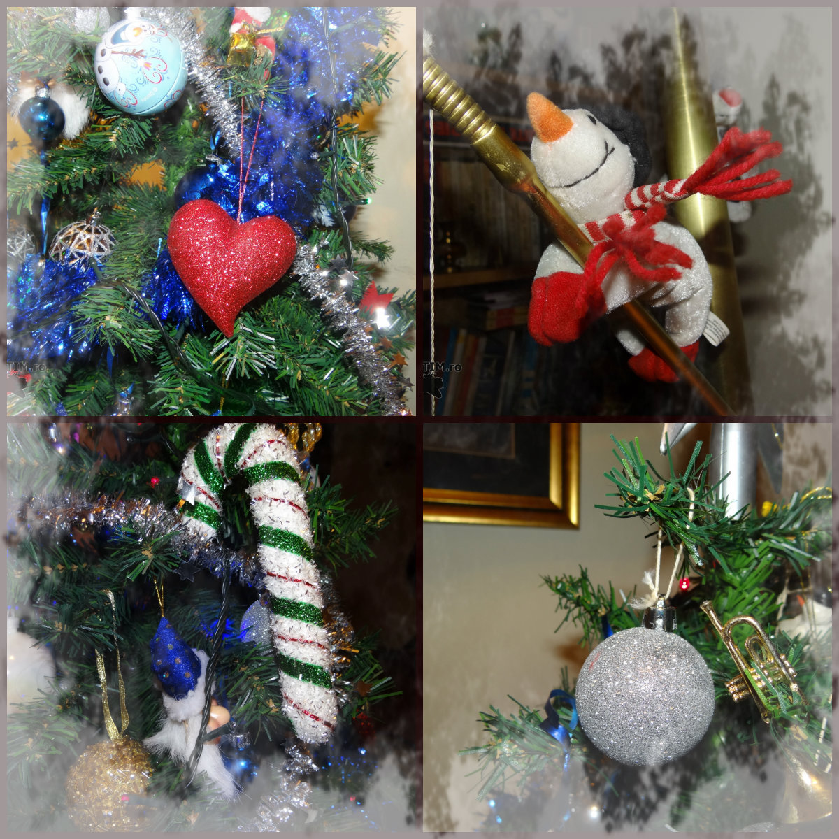 collage7