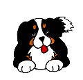 Dogie