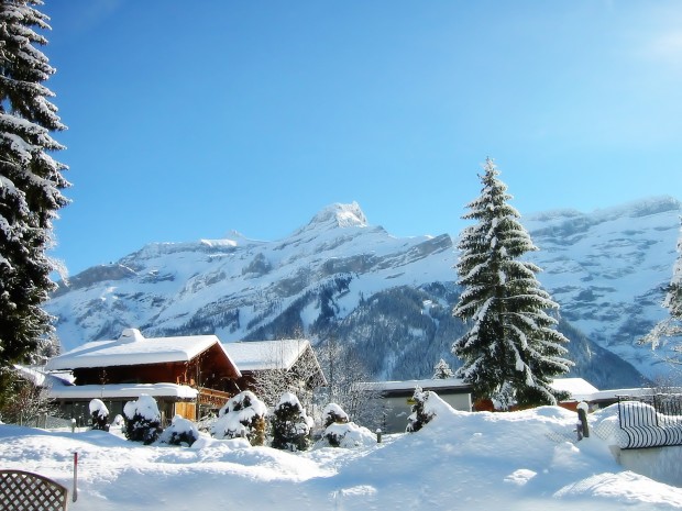 Winter-Holiday-Background-620x465