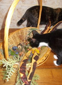 aranjament-toamna-pisici